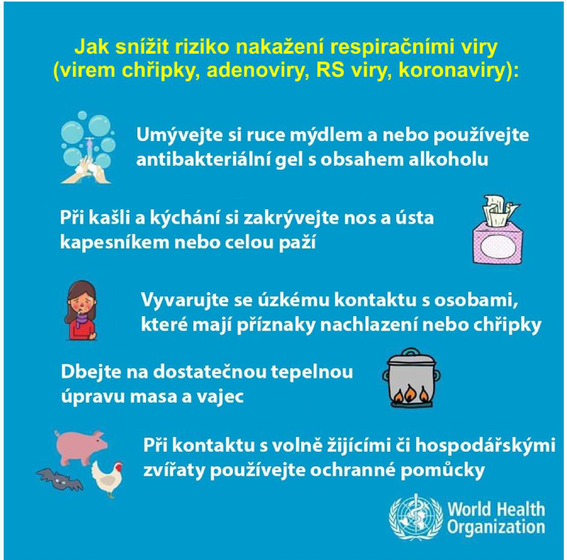 Jak snížit riziko nakažení respiračními viry podle WHO