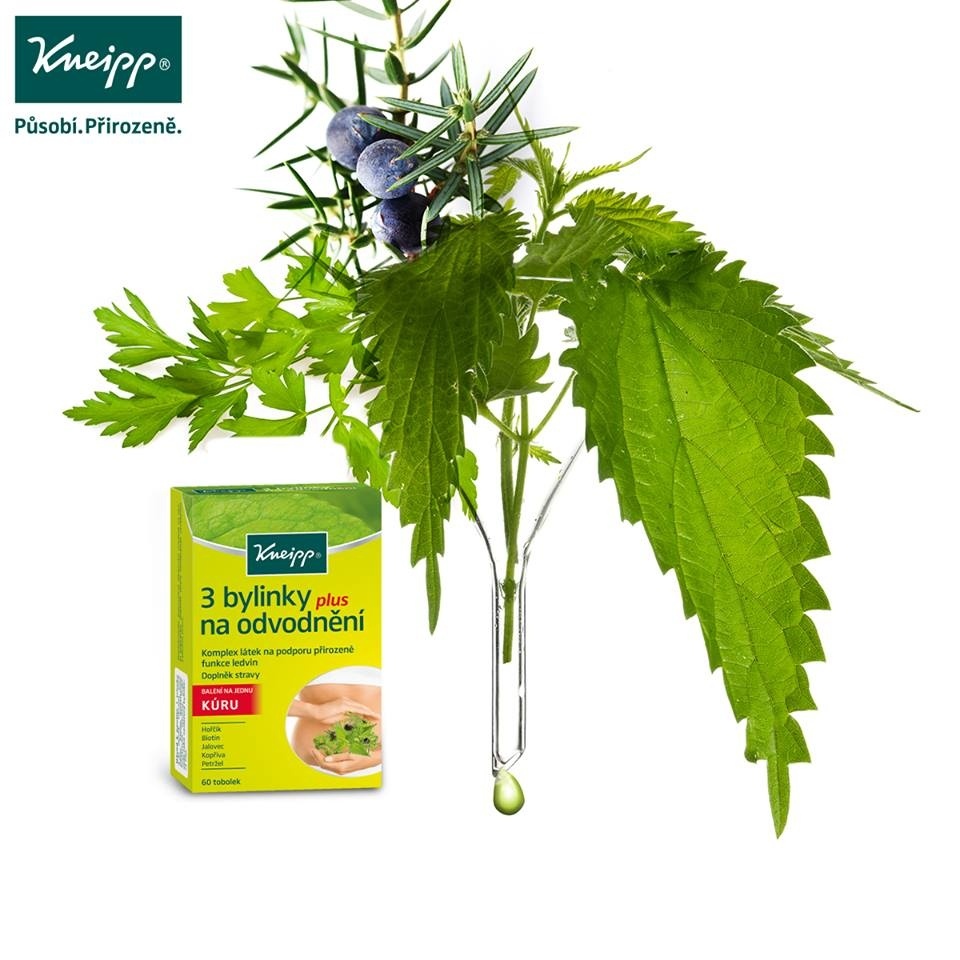 3 bylinky na odvodnění Kneipp - kopřiva, jalovec, petřžel